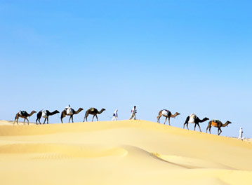 Book Now and Save BIG on Flights to Algeria ¹ Book Now and Save BIG on Flights to Algeria ¹