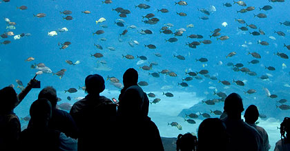 Cheap Atlanta Vacation Packages