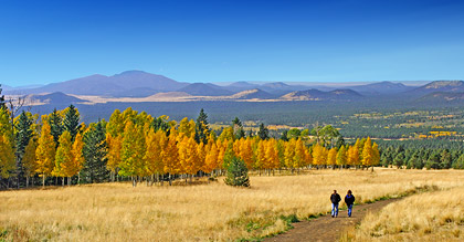 Cheap Flagstaff Vacation Packages