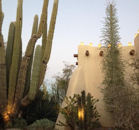 24 Hours in Phoenix. Photo credit: Katrina Woznicki