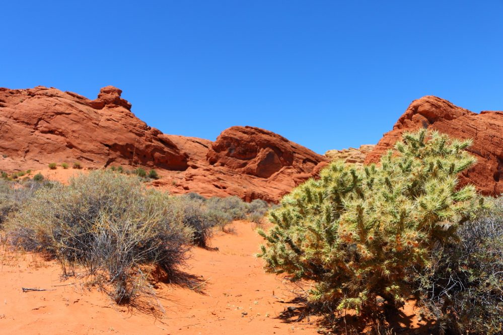 valley of fire state park, rainbow vista, nevada, united states