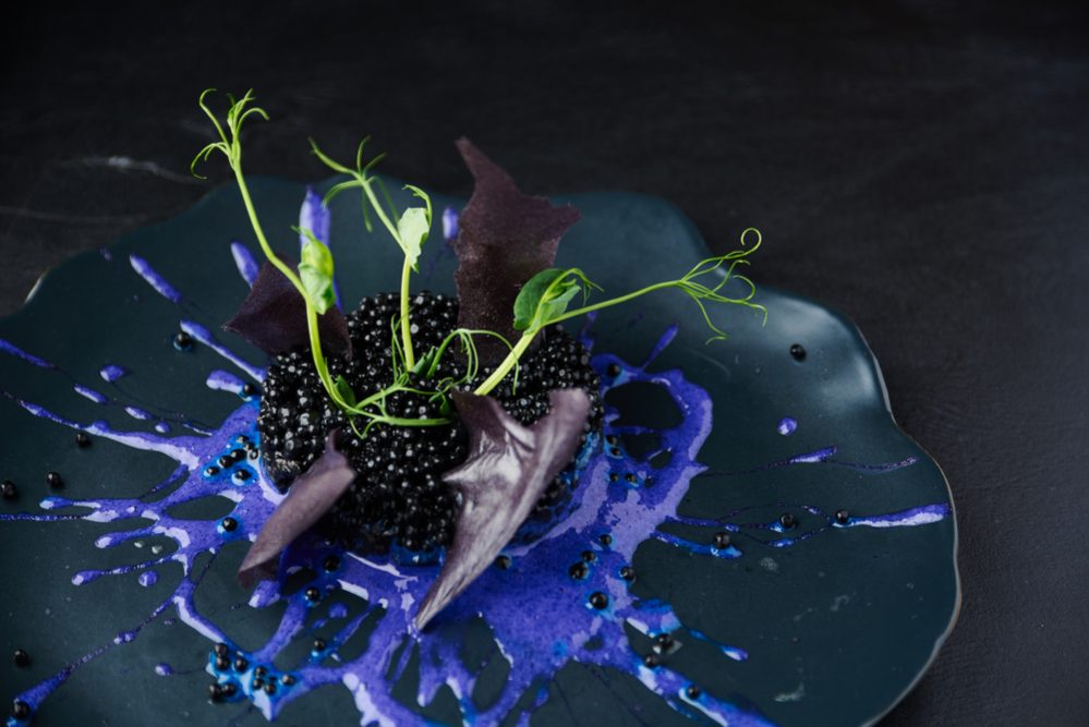 Plate with black risotto on black background with dramatic side light. Haute cuisine.