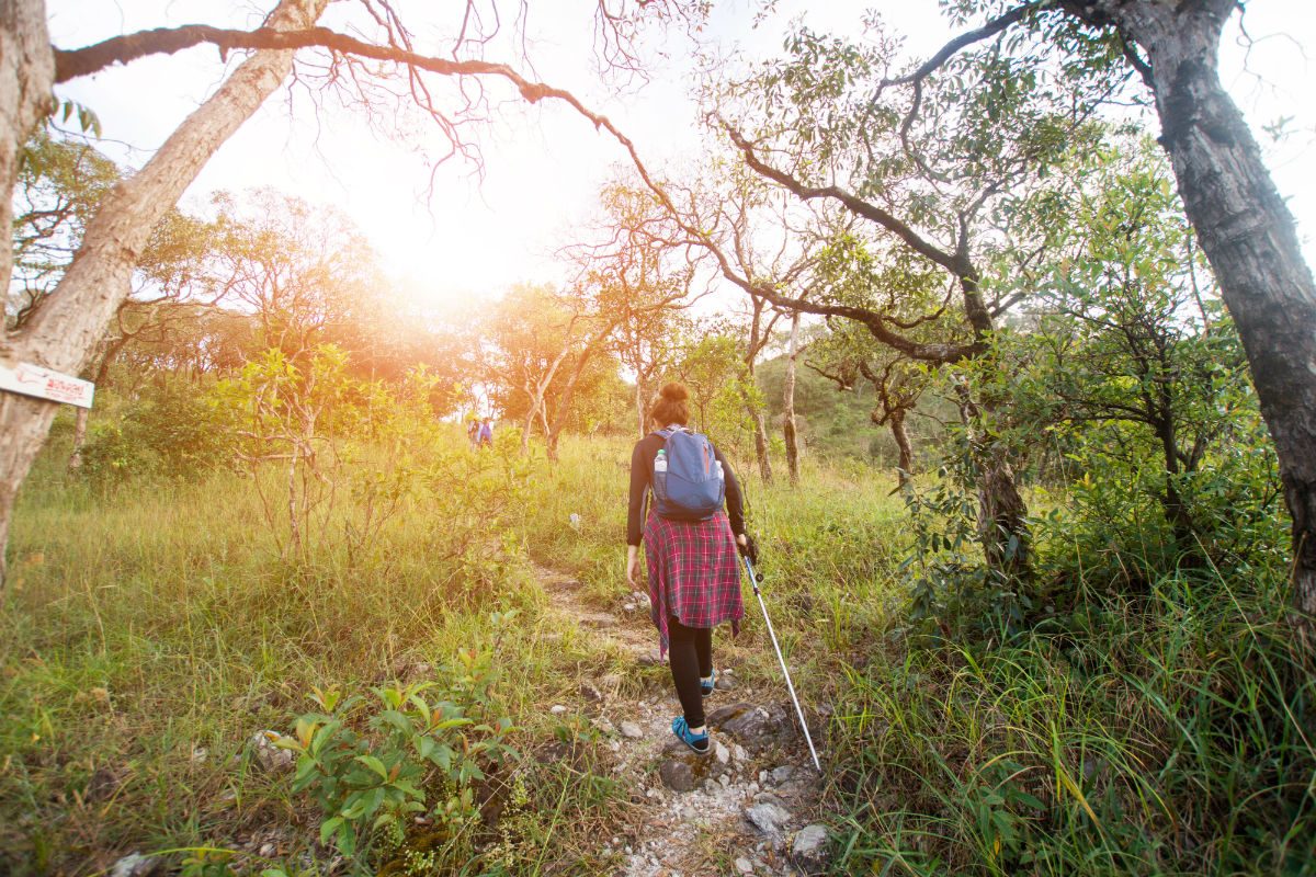 Best Places for Hiking and Camping in San Francisco